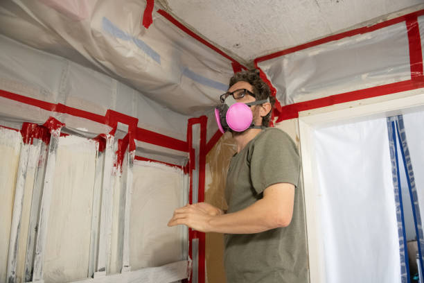 Best Mold Remediation for Vacation Homes  in Enoch, UT