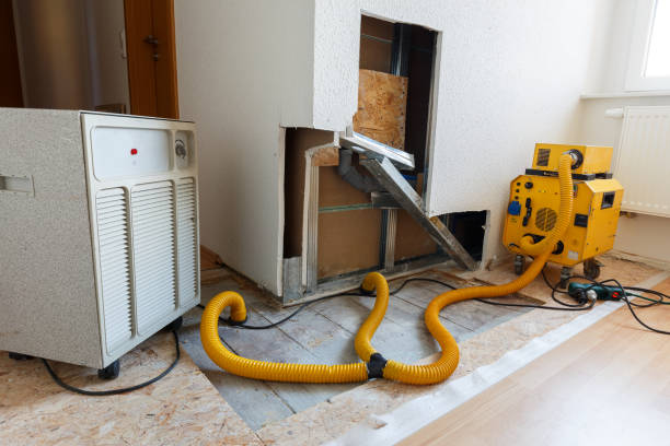 Asbestos and Lead Testing During Mold Inspection in Enoch, UT